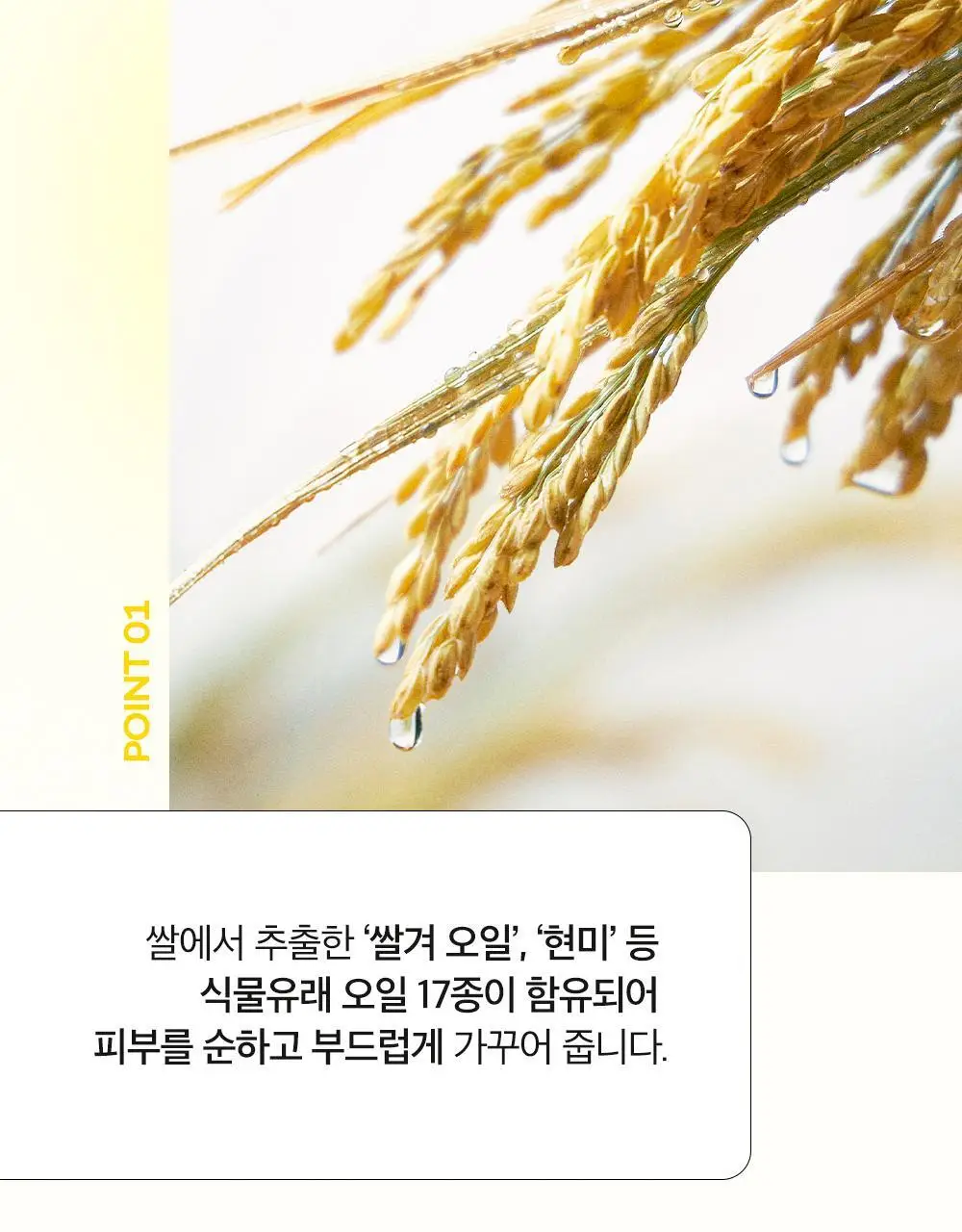 [블랙헤드 지우개] 파파레서피 블레미쉬 클렌징 오일 300ml 상세페이지 6
